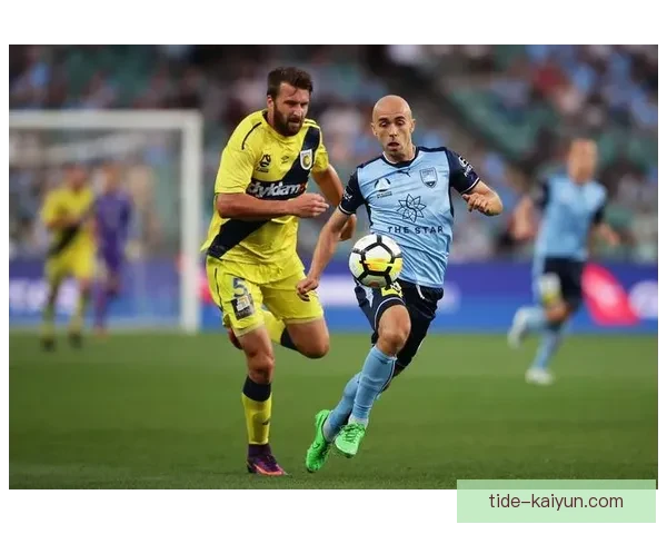 纽卡斯尔联队新结构分析展望球队未来发展蓝图, 竞争力提升值得关注